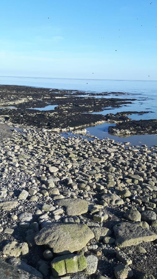 Combe Haven Harley Mead Villa Hastings Bagian luar foto